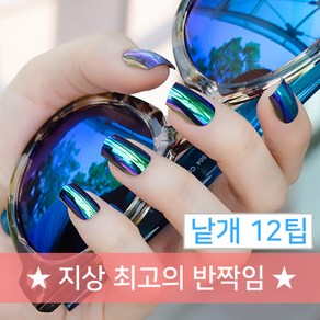 엔리안 메탈 샤프팁 선글라스 에디션 메탈팁 낱개 12Tips, 12개, SN_08