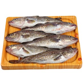 주문진 생대구(급냉) 2kg (4미내외), 1세트