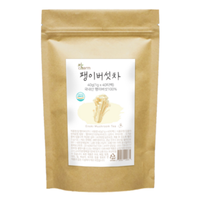 참Cham 참 무농약 팽이버섯차 생분해성 삼각티백, 1g, 40개입, 1개