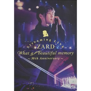 일본 음악 ZARD 자드 Steaming LIVE What a beautiful memoy 30th Annivesay 블루레이