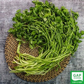 무농약 GAP 지리산 맑은물 미나리 1kg, 1개