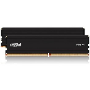 [마이크론] 마이크론 Cucial DDR5 PC5-44800 CL46 PRO 대원씨티에스 [96GB (48GB*2)] (5600), 2개