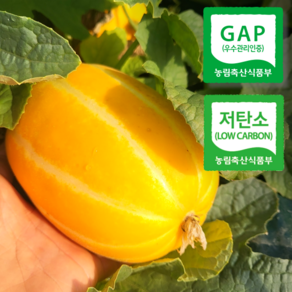 과일촌아재 저탄소 GAP 인증 성주 참외 못난이, 1박스, 1kg (못난이 혼합과)