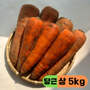 만근농장 국내산 햇당근 흙당근 주스용 쥬스용 못난이, 1개, 5kg(상)