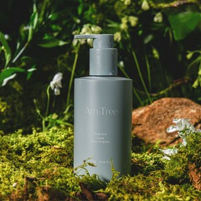 에이엠트리 프레그런스 숲 캄그린 우디&허브 퍼퓸 바디로션 상쾌한 숲속 향, 1개, 300ml