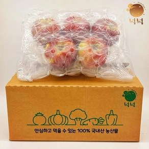 넉넉 사과 주스용 흠과 혼합과 5kg, 1개