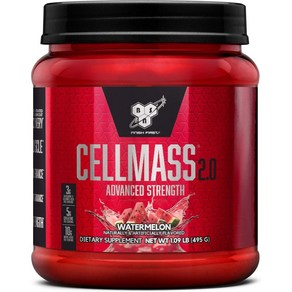 BSN CELLMASS 2.0 비에스엔 셀마스2.0 워터메론 495g, 1개