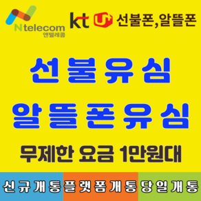 선불유심 선불폰 앤텔레콤 빠른배송 빠른개통 알뜰폰 lg선불유심 선불폰 kt선불유심 멤버십 선불폰유심 유심칩, LG선불유심 (3사연체폰 사용가능, 1개