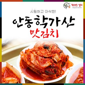 [도경식품][국산100%] 안동학가산 맛김치 5kg_아이스박스, 1개, 5kg