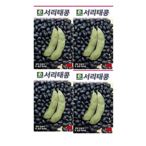 모두다 다농 채소씨 다농서리태씨앗(30g), 4개