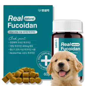 후코이단 12000mg 데일리케얼 리얼 네추럴 고순도 고함량 애견 후코이단 츄어블 fucoidan 펠릿, 1세트, 면역/항산화