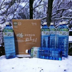 광양백운산 고로쇠 물 고로쇠수액 1.5리터, 12개, 1.5L