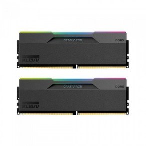 ESSENCORE KLEVV DDR5-6000 CL30 CRAS V RGB 패키지 서린 (48GB(24Gx2)), 2개