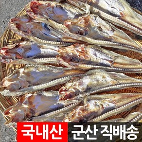 장스토어 말린 망둥어 500g 건조생선 군산직송, 1세트, 망둥어 500g 내외