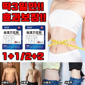 [정품보증] 2+2/3+3 다이어트 패치 습기 제거 패치 초본배독혈위거습편첩 복부 다이어트 패치 건강한 습기 해소 경혈 패치 한방 속효 선물 랜덤 증정, 1개, 6매입