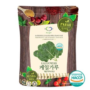 푸른들판 국내산 케일 가루 분말 파우더 100% 채소 케일잎 차 HACCP 인증, 500g, 1개