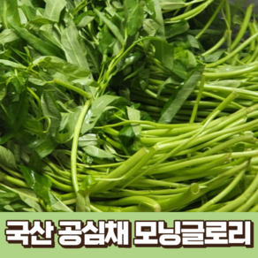 국산 공심채 모닝글로리 1kg 국내산 농장 산지 직송 공심채 베트남채소 모닝글로리볶음 공심채볶음 베트남야채 태국요리 태국음식 특수채소, 1개