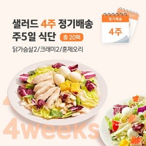 샐러드 4주 정기배송 주5일 (닭가슴살2+크래미2+훈제오리1), 5개