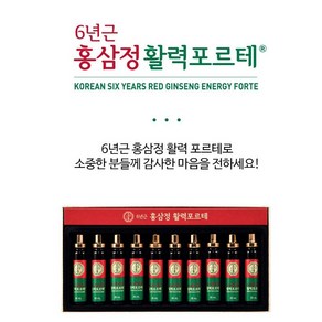 6년근 국내산 고려홍삼정 홍삼정 활력 포르테 (20ml x 10병) 부모님선물 추석선물 기력회복 장모님선물세트, 200ml, 10개