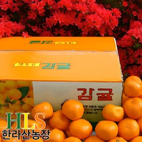 한라산농장 귤 10KG 중대과 L~2L 홍보용 불만족 시 무료반품, 1개