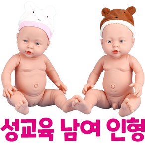 코레샵 성교육 인형 남녀세트, 혼합 색상, 1개