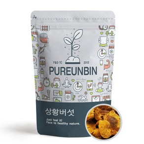 푸른빈 상황버섯 특품 국내산 경북 군위, 1개, 120g