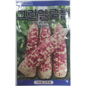 그린얼룩찰옥수수 씨앗/찰기와 맛이 아주 뛰어난 얼룩찰옥수수//가람종묘사, 1개