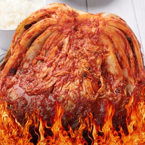 [더본촌] 100% 허벌나게 매운 전라도 실비김치 포기김치 배추김치, 1개, 3kg