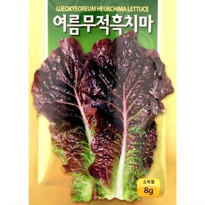 여름 흑치마 상추 씨앗 (8g)