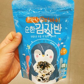 광천김 오가닉 우리아이 순한 김자반 30g, 1개