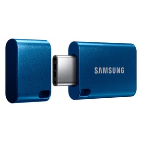 삼성전자 삼성 USB 3.1 C타입 메모리 64GB MUF-64DA, 단품