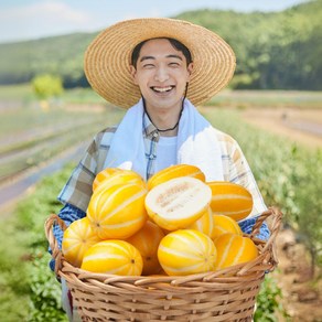 [농가직송] 성주참외 고당도 꿀 참외 로얄과 대과 korean melon