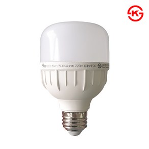 LED 글러브램프 20W E26 / 삼파장 40W 대체, 주광색, 1개