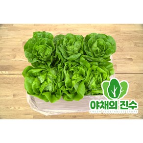 야채의진수 유러피안 상추 미니로메인+버터헤드 샐러드, 1박스, 1kg