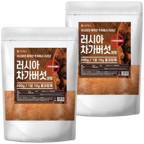 건강중심 러시아 차가버섯 분말, 500g, 2개