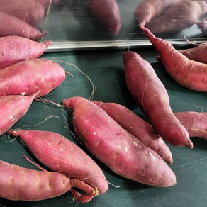 해남황토 햇고구마 꿀 호박고구마 세척고구마, 1박스, 세척 꿀고구마 2kg 한입