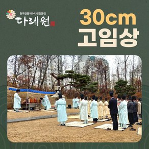 30cm 고임상 (다례원) 30cm 고임상 시제음식 당일조리 당일배송 시제상차림 기타즉석요리