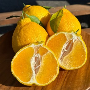 파머스마일 당도선별 고당도 제주 프리미엄 가정용 한라봉, 1박스, 선물용 2.5kg(7-13과)