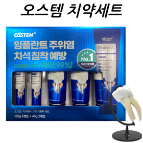 오스템 치석케어 치약, 3개, 160g