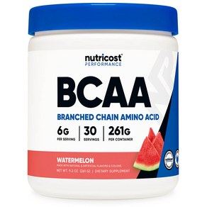 BCAA 파우더 30회분 수박맛 1병, 1개, 단품, 261g