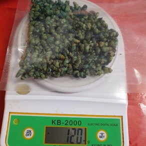 [육수증정] 정성백 국산 깐다슬기 올갱이 다슬기 고디 550g, 5개