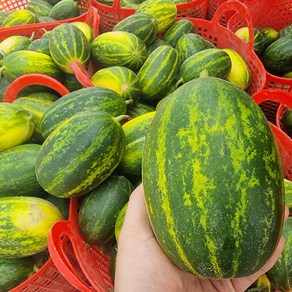 [우연팜] 고령 성산메론 고당도 파파야메론 개구리참외, 1박스, 2kg, 파파야메론 갯수랜덤
