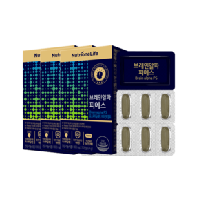 뉴트리원 브레인알파 피에스 800mg 30캡슐 3개