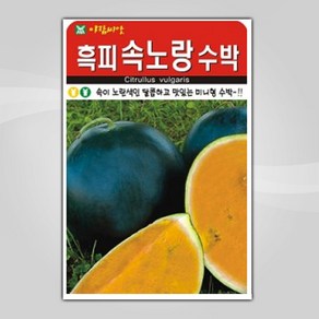 슬로시 열매 씨앗 종자 고추 가지 토마토 완두콩 녹두