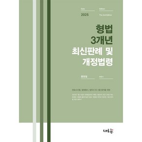 2025 형법 3개년 최신판례 및 개정법령:변호사시험 법원행시 법무사 외 시험 합격을 위한, 새흐름