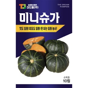 더드림 [미니슈가] 단호박씨앗 단호박종자 / 맛좋고 돈되는 미니 단호박씨, 1개