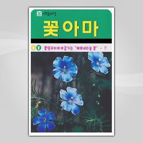 슬로시 꽃 씨앗 고급 꽃씨 야생화 허브씨 종자 모음, 1개