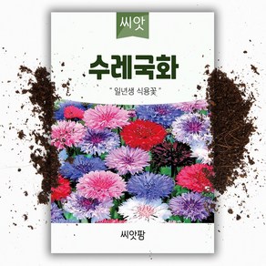 씨앗팜 야생화 꽃씨 수레국화 종자 씨앗 (200립) 국화과 두해살이 이년생, 1개