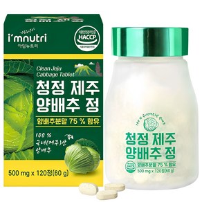 아임뉴트리 청정 제주 양배추환 양배추 정 500mg x 120정, 1개