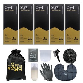 씨드비 시즌2 프리미엄 물염색 염색약 홈쇼핑구성 20회분(염색도구 포함), 1개